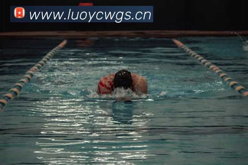 beat365唯一官网平台生态图